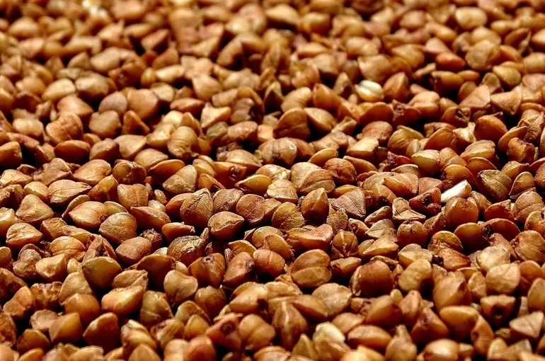 В Минсельхозе допускают продление запрета на экспорт гречки 