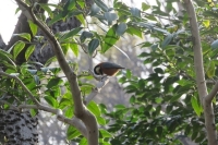 Даурский заповедник станет больше и удобнее для туристов