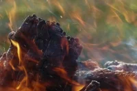 На противопожарную подготовку дополнительно выделили 8 млрд рублей
