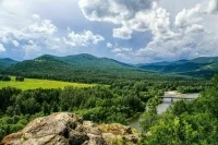 Российские леса инвентаризируют и увеличат штат сотрудников по их охране