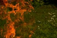 В Марий Эл ввели режим ЧС из-за лесных пожаров 