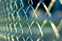 Австрия и Литва обсудят проблему нелегальной миграции