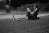 В России предлагают ввести уголовную ответственность за подменные номера