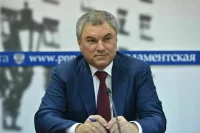 Володин рассказал, какие меры помогут убрать с улиц бродячих собак