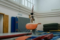 Сборная Израиля по художественной гимнастике пропустит чемпионат мира