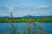 В Ростуризме рассказали, почему продажи туров с кешбэком завершились досрочно