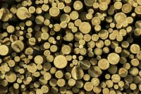 ФАС создаст реестр крупных производителей стройматериалов