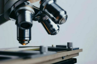 На научные исследования выделят гранты из бюджета