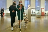 В АТОР призвали учесть интересы бизнеса при планировании маршрутов для инвалидов