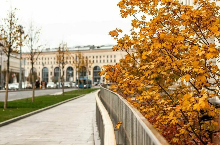 Синоптик оценил вероятность прихода бабьего лета в Москву