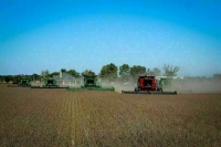 На кредитование агросектора направят ещё 10 млрд рублей 