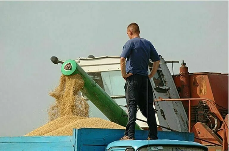Данные о зерновой продукции соберут в единую информационную систему