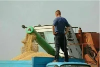 Данные о зерновой продукции соберут в единую информационную систему