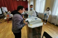 Иностранные омбудсмены оценили ход выборов в России