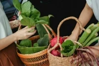 Матвиенко поддержала идею сбора фермерской продукции на местах по госценам