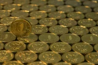 Минфин наращивает госзаймы без утверждённой долговой политики, заявили в Счётной палате