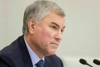 Володин рассказал о важности противостояния вмешательству извне