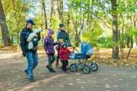 Многодетным семьям хотят выделять обустроенную землю 