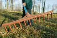Как законно убрать ветки и листья