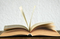 Минцифры будет определять госполитику в литературной сфере