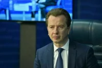 За организацию собачьих боёв предлагают ввести штраф до 400 тысяч рублей 