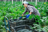 В рамках Евразийского женского форума предлагают учредить премию «Женщины в АПК» 