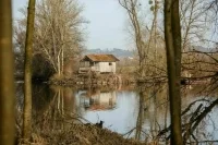 Землю в водоохранных зонах предложили распродать налево и направо