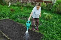 Дачную амнистию хотят продлить до 2031 года