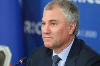 Володин прокомментировал вручение Нобелевской премии мира Муратову