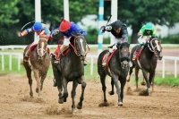 Рекламу тотализаторов предложили разрешить при трансляции скачек