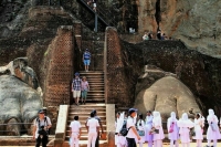 Шри-Ланка возобновила выдачу вакцинированным туристам виз по прибытии