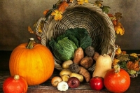 Плотников рассказал, что доработают в законопроекте о торговле фермерами