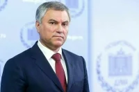 Володин: особенности исполнения бюджета за прошлый год важно анализировать в начале бюджетного процесса