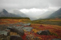 Совфед поддержит идею организовать поездки выпускников школ к уникальным местам Камчатки