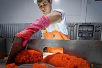 Травить россиян некачественной икрой не позволят