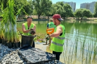 Число официальных безработных в Воронежской области за год снизилось на 71%