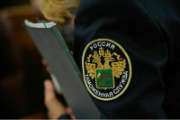 Почему День Таможенника празднуют 25 октября