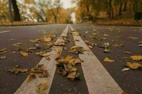 Синоптик пообещал москвичам теплые выходные