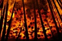 Сенаторы предложили увеличить финансирование регионов для борьбы с лесными пожарами