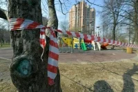 В Петербурге дополнительно к QR-кодам вводят частичный локдаун
