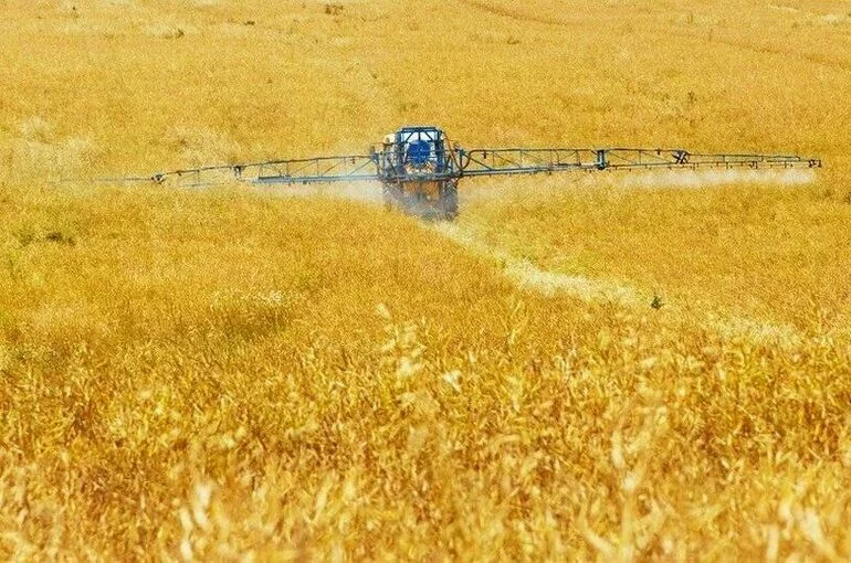 Экспорт азотных удобрений ограничат на полгода