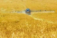 Экспорт азотных удобрений ограничат на полгода