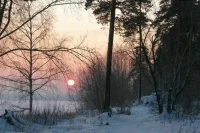 Синоптик рассказал, какой будет зима в России