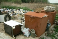 За сброс мусора в лесу конфискуют транспортное средство