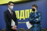 В ЛДПР считают, что долги по алиментам должно заплатить государство