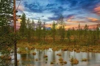 Учёные просят не строить полигоны на болотах