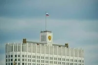 Сенаторы призвали кабмин ускорить разработку подзаконных актов в лесной сфере