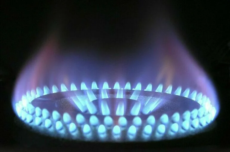 В Совфеде предложили наказывать за отказ впустить газовщика в квартиру 