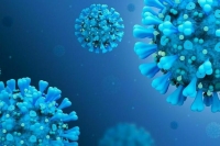 Иммунолог рассказал о будущем коронавируса