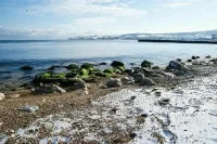 Новогодний Крым «распродан» более чем наполовину